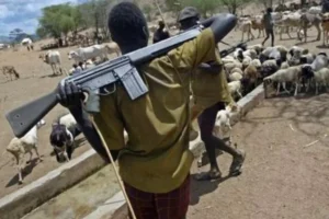 Governor Alia Calls for Calm, Pledges to Bring Perpetrators to Justice